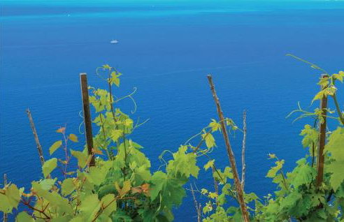 Two-Bedroom Apartment In Ston - Foto 21