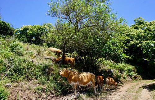 Casa Martim - Foto 44