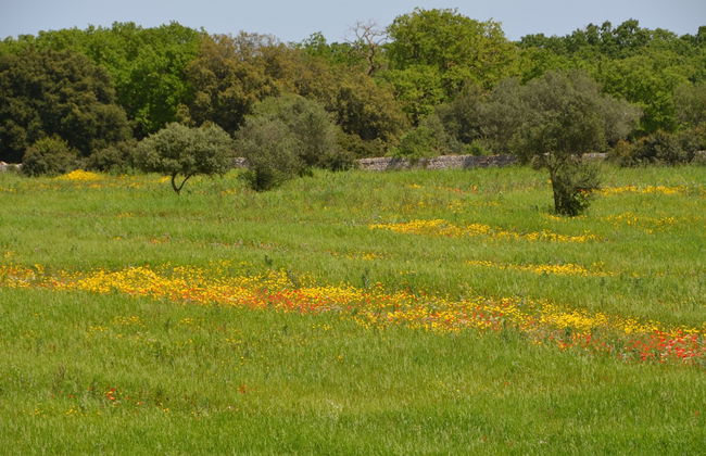 Tenuta Deserto - Foto 59