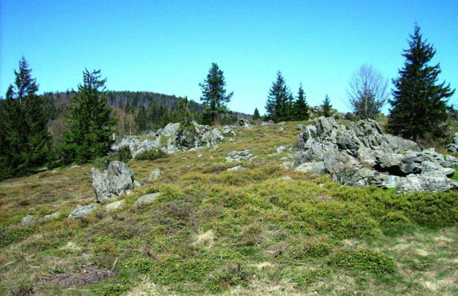 Family-friendly Tretting Home - Photo 28