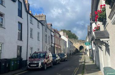 Hafan Glyd charming cozy cottage in Conwy - Foto 28