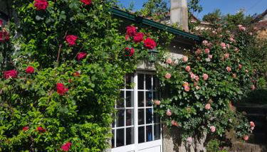 Charming granite cottage in beautiful surroundings - Foto 3