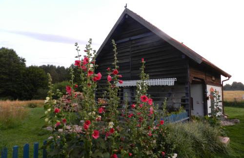 Pod tulipanem nad jeziorem - Foto 32