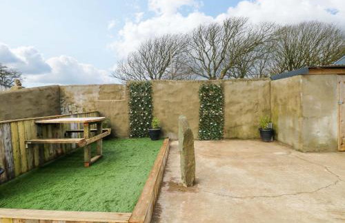 Woodpecker - Photo 19