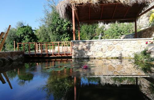 Filoxenia Olive Garden luxury villas and suites - Foto 50