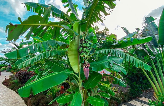 Lxry Apartment Jan Sofat With Private Pool - Foto 26