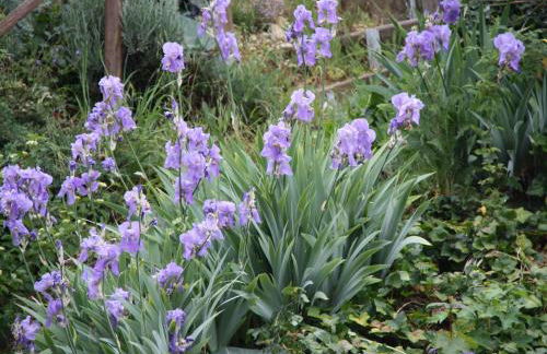 Gîte avec jardin clos, terrasse et Wi-Fi, proche de Verdun - FR-1-585-42 - Foto 9