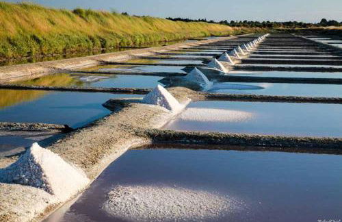 Côté Phares, 4 étoiles, appartement 43 m2 Vue Mer - Foto 39