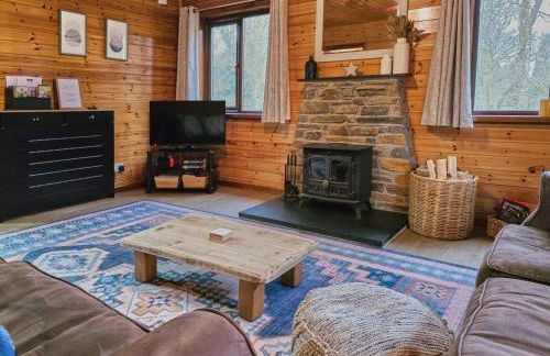 Luxury Wood Lodge with sauna, log burner & private woodland garden - Wnion Wood Lodge - Foto 10