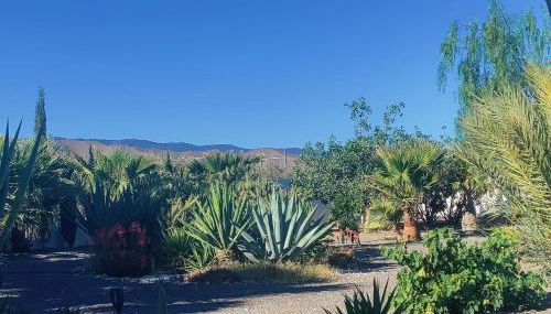 Cortijo Oro Verde B&B - Foto 2, Garden