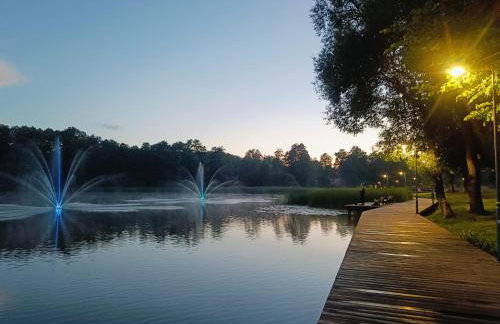 Zielony apartament z widokiem na jezioro - Foto 24