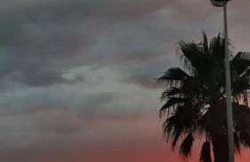 "Les Palmiers" Studio spacieux vue mer Terrasse & Parking - Foto 23