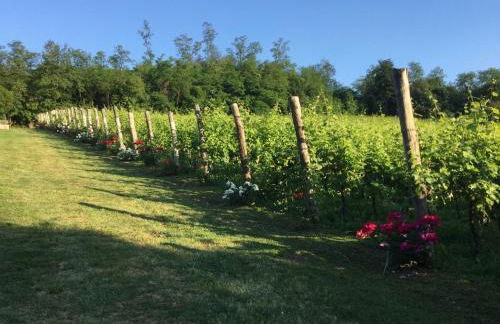 Agriturismo Terre Bianche - Foto 59