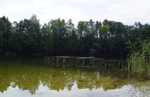 Ferienwohnung Rehagen Süd - Photo 17