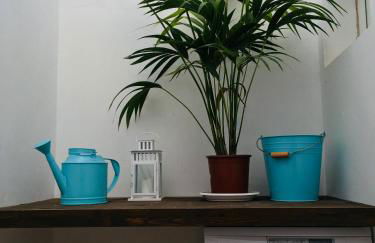 The Little White House, Suite Flower Beach 9 - Foto 16