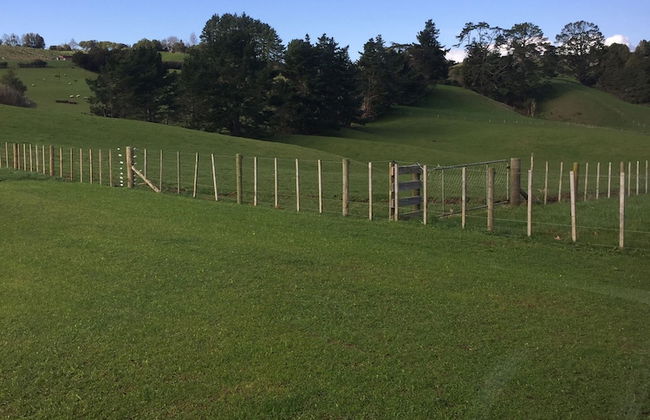 Veld View Bed & Breakfast - Photo 56