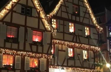 Colmar,appart chaleureux 2 pas centre avec jardin - Foto 20