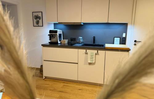 Ferien- und Business Apartment - Foto 27