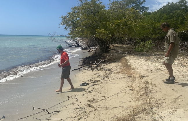 The Belair - Photo 38