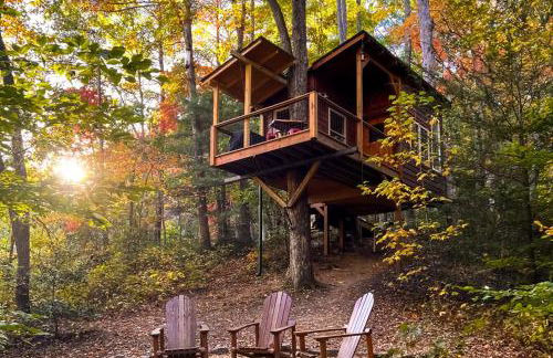 Dreamy Treehouse Getaway Dog FriendlyDisc Golf - Foto 1