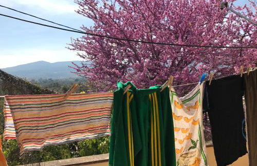 Spacious n comfortable Aloe Vera farm house - Photo 34