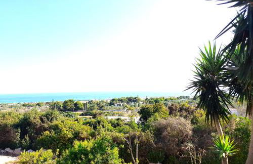 Korés House - Foto 24