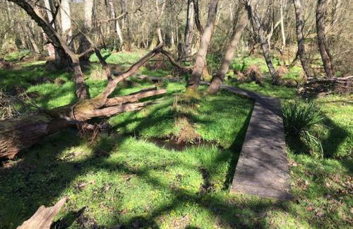 Cozy Cottage Retreat in Surrey Hills - Foto 11