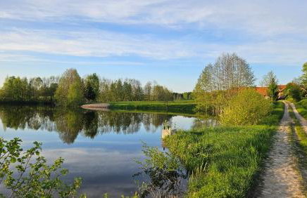 Siedlisko Mazury II - Foto 36