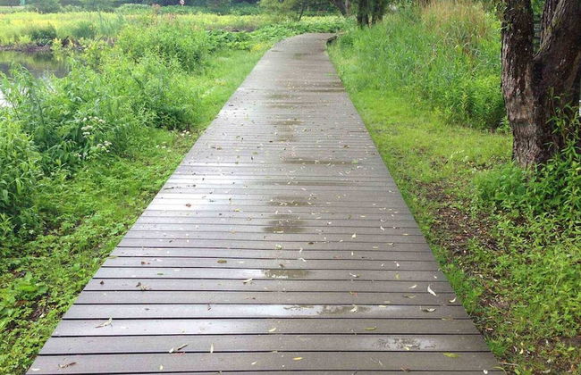 Gentofte Cozy Private Apartment - Foto 9