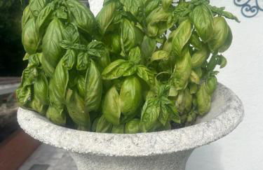 Vila Cristal paris - Foto 16