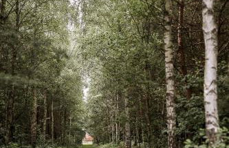 Gajówka Pilica 45A - Foto 16