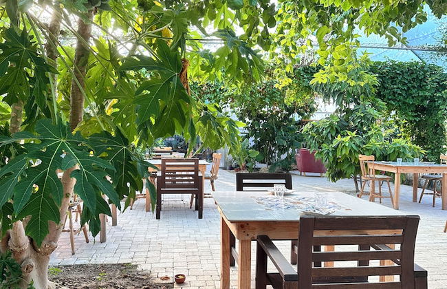 AgriBarocco - Photo 55