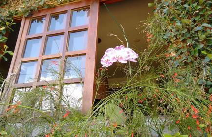 " Seu Cantinho" - Foto 49