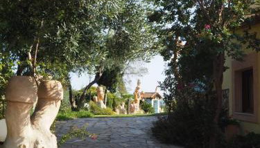 Medusa Gorgon - Photo 5, Garden