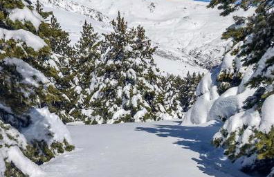 Casa Alpujarreña Fina Número 27 - Photo 49