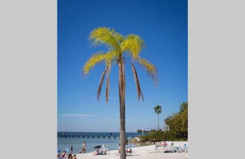 Little Harbor Resort #206 Tampa Bay FL Beach, Bayview, 2 Pools - Foto 42