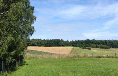 Lesne Domki VIP - Foto 30