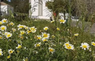 4 suites, piscine, Casa Rio-Dora by SesimbraSunSea - Foto 41