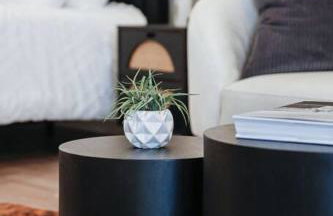 Eternal Romance-The Honeymoon Suite at 1885 Farms - Foto 36