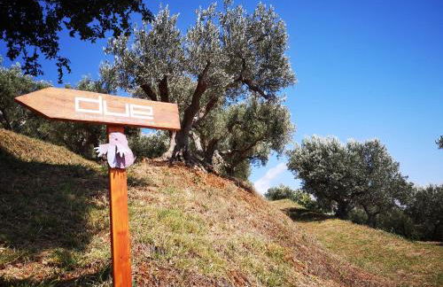 Due Esperienza Panoramica - Photo 43