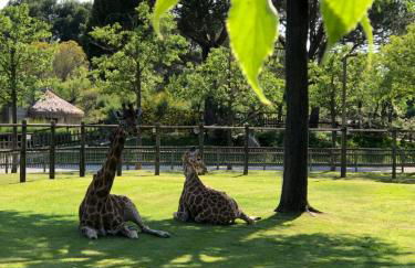 Appartamento fronte mare con terrazzo e parcheggio privato - Foto 37