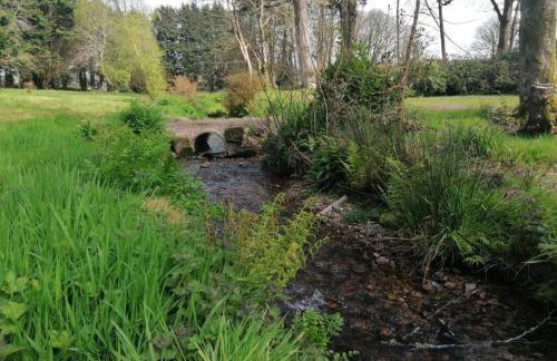 Driftwood Cottage - Foto 32