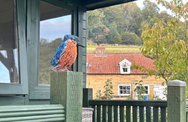 Shepherds hut, Eco, Log burner Hot tub NY moors - Foto 38
