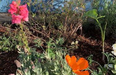 Relaxing 3 bedroom Santa Cruz house, 5min to beach - Foto 23