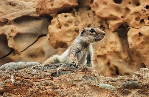 Castillo Mar - 82 - Photo 19