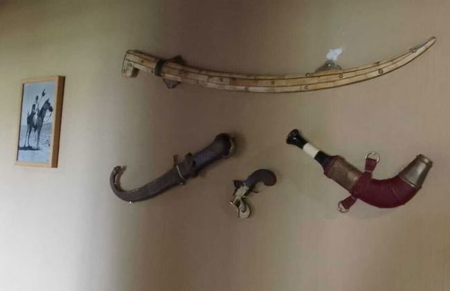 Natures Green Resort and Spa - Foto 45