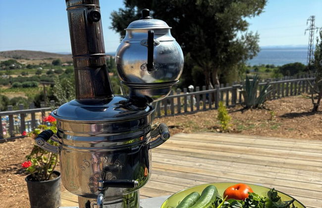 Zeus kır evi - Photo 42