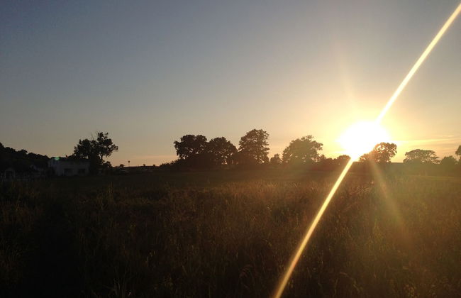 Aparthotel in Sellin with garden and terrace - Photo 21