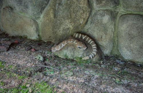 Rivercrest Lodge with Hot Tub-Pool Table-Firepit - Foto 50