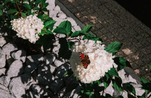 Black Resort Balia Sauna - Foto 15